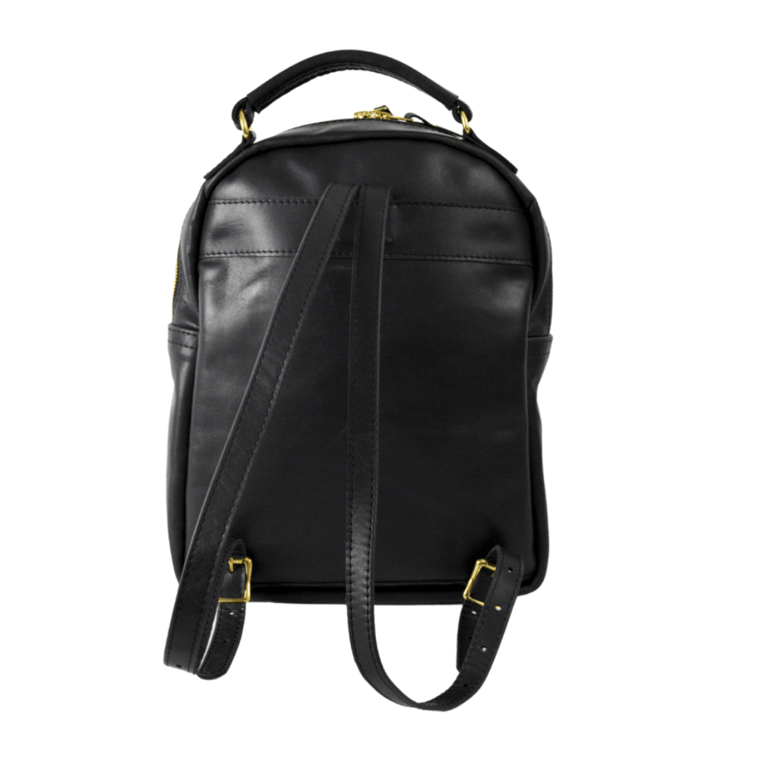 Covet Collection Ladies Backpack - SWISH AND SWANK